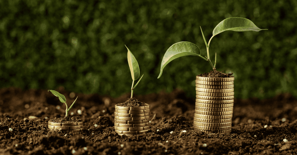 Stacks of coins with growing plants sprouting from them, symbolizing sustainable growth and smart finances